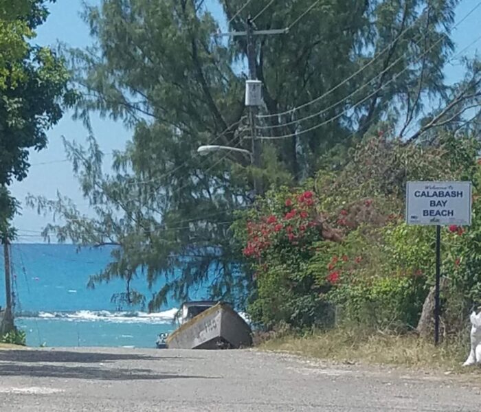 TREASURE BEACH, JAMAICA – A COMMUNITY FULL OF LITTLE SURPRISES